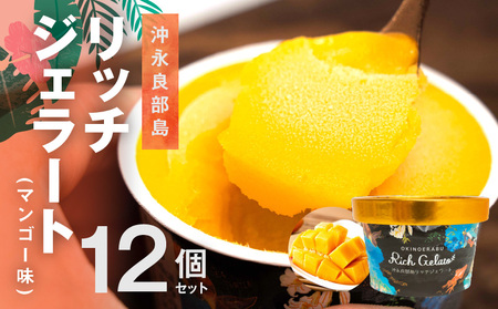 【W009-083u】沖永良部島リッチジェラート(マンゴー味)12個セット