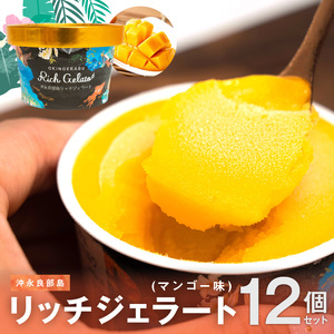 【W009-083u】沖永良部島リッチジェラート(マンゴー味)12個セット