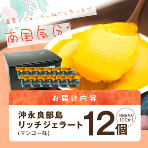 【W009-083u】沖永良部島リッチジェラート(マンゴー味)12個セット
