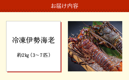 沖永良部島 直送 ！ 素潜り漁師 オススメ の 冷凍 伊勢海老 約 2kg （ 3～7匹 ）！ W030-011u 冷凍伊勢海老 イセエビ 伊勢えび 海老 エビ 海産物 海鮮 甲殻類 魚介 ぷりぷり 美味しい 甘い 新鮮 おいしい 天然 味噌汁 天ぷら 天そば おかず 夕食 惣菜 総菜 鹿児島県 西郷食堂 ふるさと納税 鹿児島 おすすめ ランキング プレゼント ギフト