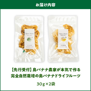 【W029-010u】【先行受付】島バナナ農家が本気で作る完全自然栽培の島バナナドライフルーツ30ｇ×2袋（７月中旬～10月中旬頃発送）