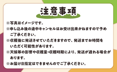 【 2026年 先行予約 】【 ご家庭用 】 山下農園 の パッションフルーツ 2kg 【 6月上旬 ～ 7月上旬 発送 】 W063-001 果物 フルーツ 甘酸っぱい さわやか フレーバー 特別 食感 ふるさと納税 和泊町 おすすめ ランキング プレゼント ギフト
