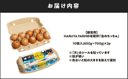 【 贈答用 】HARUYA FARM の 有精卵「 島のちっちゅ 」 W065-001-01 卵 鶏卵 たまご エッグ 鶏 にわとり 安心安全 安心 安全 低コレステロール 高タンパク質 低カロリー 食物繊維 たまごサンド たまごかけご飯 プリン パック 卵パック HARUYAFARM ふるさと納税 和泊町 おすすめ ランキング プレゼント ギフト