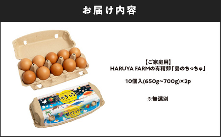 【 ご家庭用 】HARUYA FARM の 有精卵「 島のちっちゅ 」 W065-001-02 卵 鶏卵 たまご エッグ 鶏 にわとり 家庭用 安心安全 安心 安全 低コレステロール 高タンパク質 低カロリー 食物繊維 たまごサンド たまごかけご飯 プリン パック 卵パック HARUYA FARM ふるさと納税 鹿児島 おすすめ ランキング プレゼント ギフト