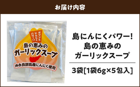島ニンニクパワー！ 島の恵みのガーリックスープ×3袋 W011-096u-03 ガーリック スープ 粉末 粉 にんにく 島にんにく 個包装 簡単 お湯 手軽 時短 手間いらず 沖永良部 沖永良部島 郵送 ポスト投函 島の恵み工房 サロンバー エスポワール ふるさと納税 鹿児島 和泊町 おすすめ ランキング プレゼント ギフト
