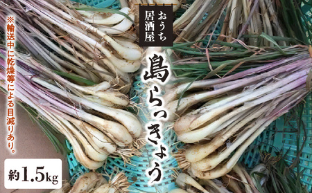 【 2025年 先行予約 】おうち居酒屋。 島らっきょう 約1.5kg/沖永良部島産【4月初旬～7月下旬】W009-030u-02 野菜 やさい らっきょう シャキシャキ 食欲 無農薬 減化学肥料栽培 先行受付 先行 予約 天ぷら 漬物 酢味噌 塩 キムチ ポリポリ お酒の肴 まるとよ農産 ふるさと納税 鹿児島 おすすめ ランキング プレゼント ギフト