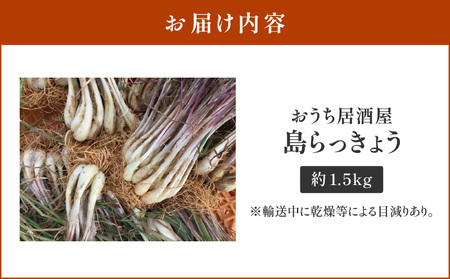 【 2025年 先行予約 】おうち居酒屋。 島らっきょう 約1.5kg/沖永良部島産【4月初旬～7月下旬】W009-030u-02 野菜 やさい らっきょう シャキシャキ 食欲 無農薬 減化学肥料栽培 先行受付 先行 予約 天ぷら 漬物 酢味噌 塩 キムチ ポリポリ お酒の肴 まるとよ農産 ふるさと納税 鹿児島 おすすめ ランキング プレゼント ギフト