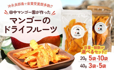 【先行受付】田中 マンゴー園 が作った マンゴー の ドライフルーツ 40g×3袋 W001-013-03 芒果 ドライマンゴー 果物 フルーツ 果実 菓子 お菓子 おかし おやつ 甘い 金賞 受賞 糖度 保存料無添加 無塩 無着色 砂糖不使用 田中マンゴー園 ふるさと納税 和泊町 おすすめ ランキング プレゼント ギフト