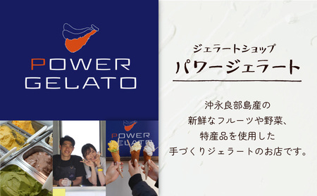 POWER GELATO 沖永良部島産（ 塩ちんすこうバニラ ）90ml × 5個入り W066-004-01 ジェラート パワージェラート デザート 氷菓子 菓子 手作り CAFE Typhoon ちんすこう バニラ 特産品 SDGs 沖永良部島 セット 美味しい おいしい 甘い あまい 冷たい 冷凍 ふるさと納税 鹿児島 和泊町 おすすめ ランキング プレゼント ギフト