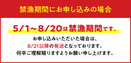 W005-006u】【漁師直送】活き〆冷凍 天然伊勢海老２キロ（6～8尾）と