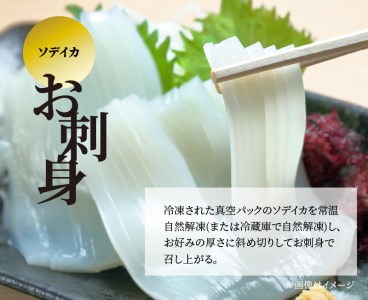【 冷凍セット (1)】  島かまぼこ 5枚 ＆ ソデイカ 約250g / サイズ不揃い W009-061u イカ 烏賊 軟体類 かまぼこ 永山かまぼこ 蒲鉾 冷凍 詰め合わせ 詰合せ ヒルアギ 沖永良部 刺身 握りずし まるとよ農産 ふるさと納税 鹿児島 和泊町 おすすめ ランキング プレゼント ギフト