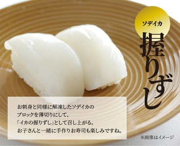 【 冷凍セット (1)】  島かまぼこ 5枚 ＆ ソデイカ 約250g / サイズ不揃い W009-061u イカ 烏賊 軟体類 かまぼこ 永山かまぼこ 蒲鉾 冷凍 詰め合わせ 詰合せ ヒルアギ 沖永良部 刺身 握りずし まるとよ農産 ふるさと納税 鹿児島 和泊町 おすすめ ランキング プレゼント ギフト