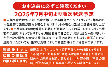 【W026-001u】【先行予約】農学博士こだわり栽培！伊村農園の完熟アップルマンゴー１キロ（２~3玉）【7月中旬～8月上旬】