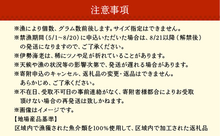 【W030-001u】沖永良部島直送！素潜り漁師オススメのボイル済み冷凍伊勢海老　約1キロ（1～3匹）！