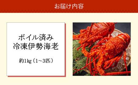 沖永良部島 直送 ！ 素潜り漁師 オススメ の ボイル済み 冷凍 伊勢海老 約 1kg（ 1 ～ 3匹 ）！ W030-001u ボイル済み冷凍伊勢海老 冷凍伊勢海老 イセエビ 伊勢えび 海老 エビ 海産物 海鮮 甲殻類 魚介 ぷりぷり 美味しい 甘い 新鮮 おいしい 天然 味噌汁 天ぷら 天そば おかず 夕食 惣菜 総菜 鹿児島県 西郷食堂 ふるさと納税 鹿児島 おすすめ ランキング プレゼント ギフト