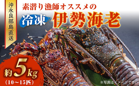 沖永良部島 直送 ！ 素潜り漁師 オススメ の 冷凍 伊勢海老 約 5kg （ 10 ～ 15匹 ）！ W030-005u 冷凍伊勢海老 イセエビ 伊勢えび 海老 エビ 海産物 海鮮 甲殻類 魚介 ぷりぷり 美味しい 甘い 新鮮 おいしい 天然 味噌汁 天ぷら 天そば おかず 夕食 惣菜 総菜 鹿児島県 西郷食堂 ふるさと納税 鹿児島 おすすめ ランキング プレゼント ギフト