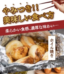 【 2025年 先行予約 】 農家 厳選 ！ 南国 の 赤土 で育んだ 沖永良部島産 生にんにく 2L玉 1kg【3月下旬～4月下旬】 W041-001u にんにく ニンニク 生ニンニク 野菜 期間限定 限定 先行受付 逸品 貴重 沖永良部産 秀品 濃厚 柔らかい おつまみ おかず 肉厚 美味しい 島農園 ふるさと納税 鹿児島 おすすめ ランキング プレゼント ギフト