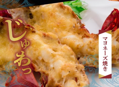 【W057-004u】エメラルドブルーの美しい海で獲れた天然伊勢海老3㎏(6~9尾)!