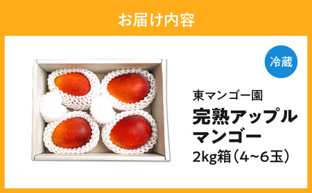 【 2025年 先行予約 】 南の島 で 太陽 の日差しをたっぷり浴びた 沖永良部産 「 完熟 アップルマンゴー 」 2kg　W014-008u マンゴー 完熟アップルマンゴー フルーツ 果物 果実 予約 限定 受付 事前予約  甘い 美味しい おいしい ジューシー とろける マンゴー栽培 ミツバチ ハチ 甘み 安心 安全 濃厚 極上 鹿児島 沖永良部 東マンゴー園 ふるさと納税 和泊町 おすすめ ランキング プレゼント ギフト