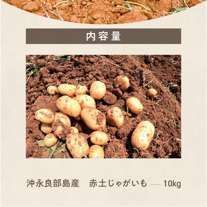 【 2025年 先行予約 】 皆村農園 の ホクホク ! ほりたて！ 春 の新 じゃがいも 10kg 【1月下旬～4月下旬】 W035-001 新じゃがいも ジャガイモ 野菜 先行受付 限定 期間限定 根菜 イモ類 イモ 沖永良部 カレー 肉じゃが コロッケ 煮物 沖永良部島 鹿児島県 ふるさと納税 和泊町 おすすめ ランキング プレゼント ギフト