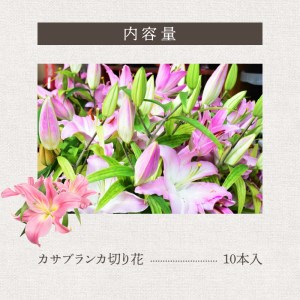 ■ 沖永良部島 で大切に育てられた オリエンタル ・ カサブランカ の 花 セット W008-012u 雑貨 日用品 花