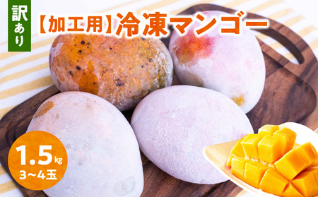 【 2025年 先行予約 】「 訳あり 」加工用冷凍マンゴー 1.5kg（3～4玉）/ 沖永良部島産 W009-079u マンゴー 冷凍マンゴー 完熟マンゴー フルーツ 果物 果実 訳アリ ワケアリ 予約 限定 受付 事前予約 完熟 甘い 美味しい おいしい ジューシー とろける 甘み 安心 安全 濃厚 極上 沖永良部 まるとよ農産 ふるさと納税 和泊町 おすすめ ランキング プレゼント ギフト