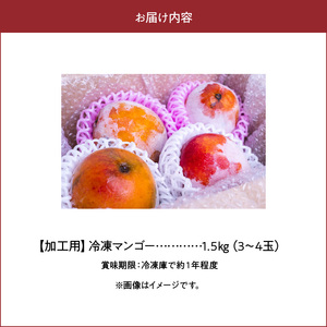 【 2025年 先行予約 】「 訳あり 」加工用冷凍マンゴー 1.5kg（3～4玉）/ 沖永良部島産 W009-079u マンゴー 冷凍マンゴー 完熟マンゴー フルーツ 果物 果実 訳アリ ワケアリ 予約 限定 受付 事前予約 完熟 甘い 美味しい おいしい ジューシー とろける 甘み 安心 安全 濃厚 極上 沖永良部 まるとよ農産 ふるさと納税 和泊町 おすすめ ランキング プレゼント ギフト