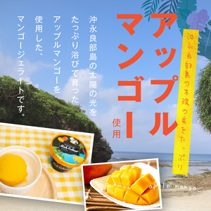 【W009-082u】沖永良部島リッチジェラート(マンゴー味)10個セット