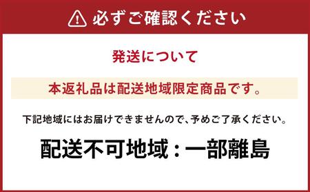 MADE IN EBETSU ミニチュアレンガセット