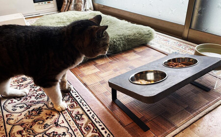 FOOD-STAND-A フードスタンド