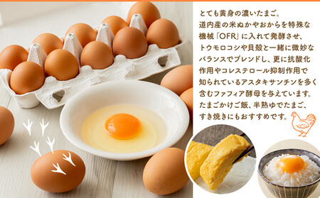 ファフィ卵10個入4パック（サイズ不ぞろい）