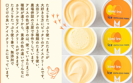 きみいろアイス　60g×8個 ｜ アイス ジェラート 乳製品 