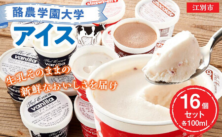 酪農学園大学アイス16個セット（各100ml） ｜ ジェラート ジェラート 乳製品  