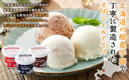 酪農学園大学アイス16個セット（各100ml） ｜ ジェラート ジェラート 乳製品  