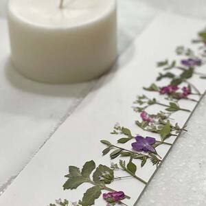 ボタニカルソイワックスキャンドル 1個 EB8-0437