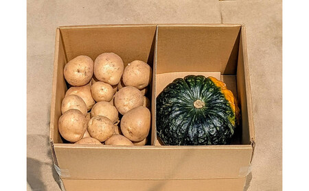 Suage直営農園　新じゃが3kg＆かぼちゃ1玉