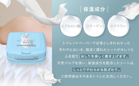 ネピア おしりセレブWET【常備セット】