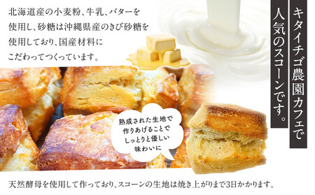 スコーン12個セット(冷凍)