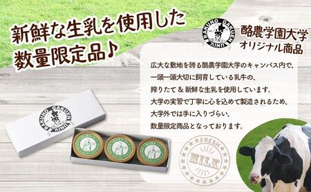酪農学園大学　缶バター3個セット ｜ バター 乳製品 