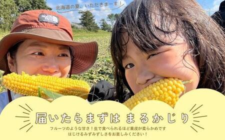 【先行予約】北海道江別産　とうもろこし　恵味ゴールド　(6本）2024年8月より発送開始