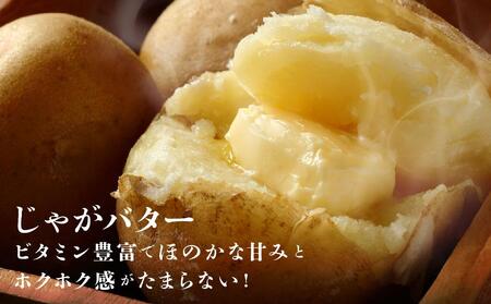 『春夏秋菜』きたあかり10kg/2025年9月より順次発送