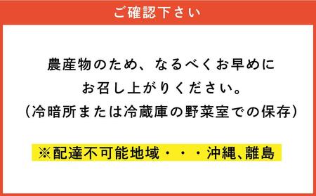 『春夏秋菜』きたあかり10kg/2025年9月より順次発送