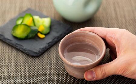 ぐい呑み「酒のさかな」2個組 オリジナルコースター付き