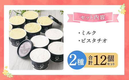 【120ml(2種)・12個入り】江別産 素材にこだわったジェラート【CHICO】 ｜ ｱｲｽｱｲｽｱｲｽ 乳製品 