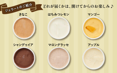 【合計30個】ジェラートおまかせ30種（80ml×30個セット）アイスクリーム　| アイス  乳製品