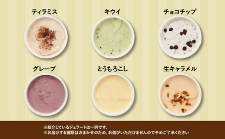 【合計30個】ジェラートおまかせ30種（80ml×30個セット）アイスクリーム　| アイス  乳製品