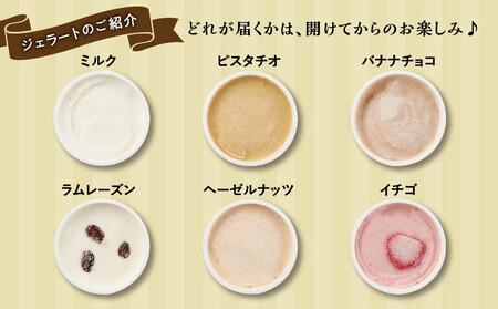 ジェラートおまかせ　12個セット アイス ｜ ジェラート 乳製品 