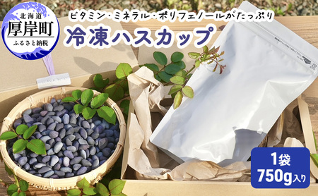 厚岸ハスカ 冷凍ハスカップ 1袋（750g） アントシアニン スーパーフード 果実 ビタミン ミネラル 抗酸化作用 ポリフェノール 北海道産 