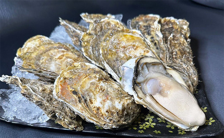 北海道 厚岸産 殻付き 牡蠣 LLサイズ 14個
