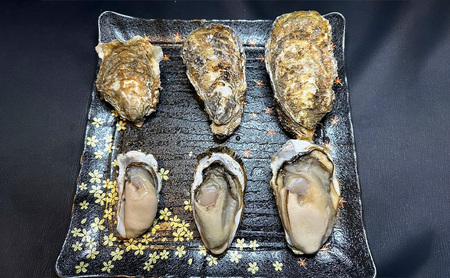 北海道 厚岸産 殻付き 牡蠣 LLサイズ 14個